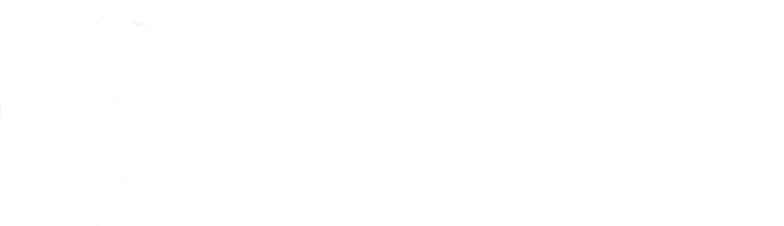 Nippa Logo